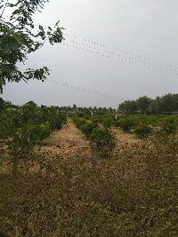  Agricultural Land for Sale in Hiriyur, Chitradurga