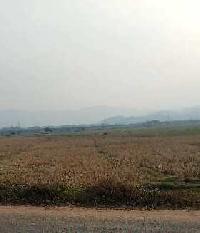  Agricultural Land for Sale in Rupnagar, Guwahati