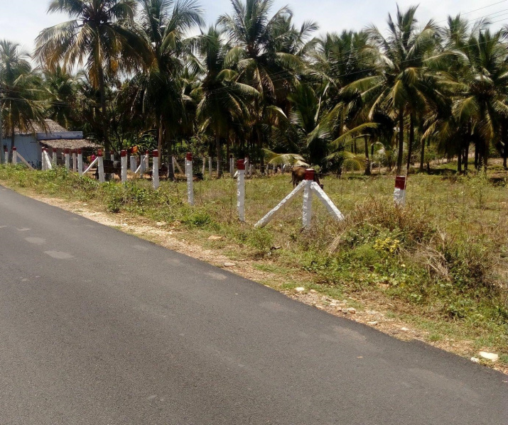 Agricultural Land 2 Acre for Sale in Sarcarsamakulam, Coimbatore