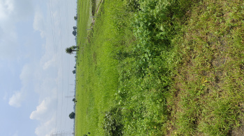  Agricultural Land for Sale in Goharganj, Raisen