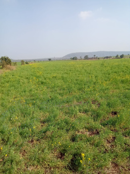  Agricultural Land for Sale in Ratibad, Bhopal