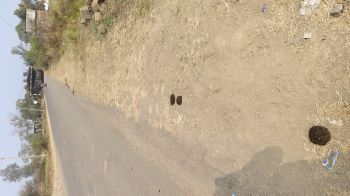 Agricultural Land for Sale in Obedullaganj, Raisen