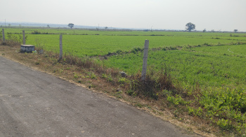 Agricultural Land for Sale in Goharganj, Raisen