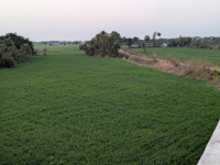  Agricultural Land for Sale in Sehore Road, Bhopal