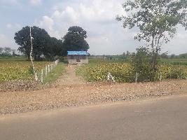 Agricultural Land for Sale in Phanda, Bhopal