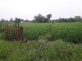 1 Acre Agricultural Land for Sale in Bhadbhada Road, Bhopal