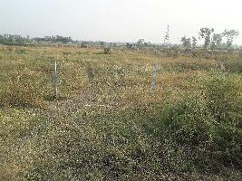 3 Acre Agricultural Land for Sale in Huzur, Bhopal