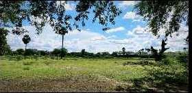  Agricultural Land for Sale in Tirupathur, Sivaganga