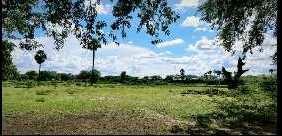  Agricultural Land for Sale in Tirupathur, Sivaganga