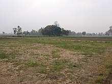  Agricultural Land for Sale in Delhi Road, Moradabad