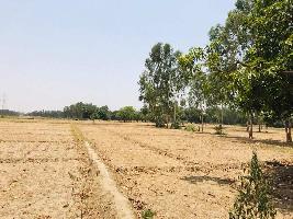  Commercial Land for Sale in Lucknow Kanpur Highway