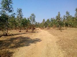  Agricultural Land for Sale in Bichhiya, Mandla