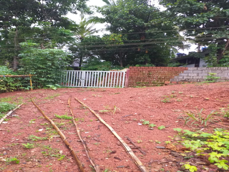 Residential Plot 22 Cent for Sale in Melechowa South, Kannur