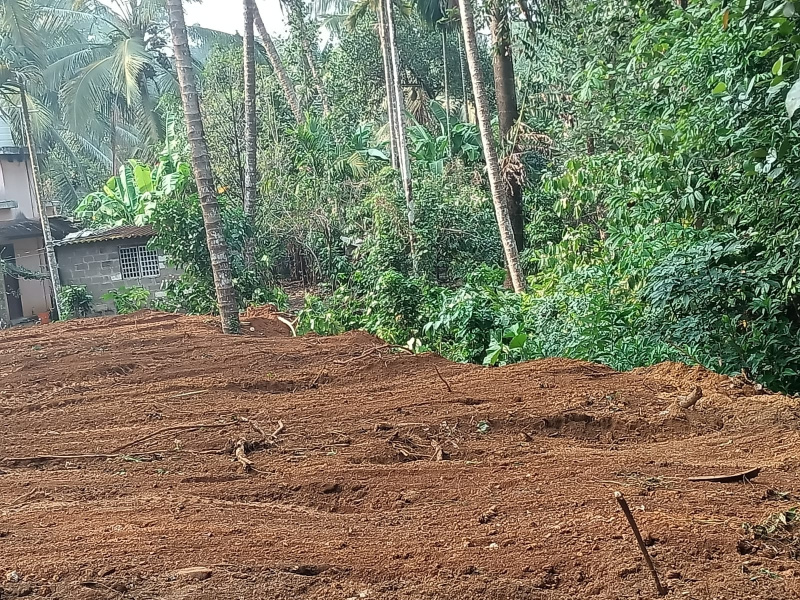 Commercial Land 6 Cent for Sale in Calicut, Kozhikode