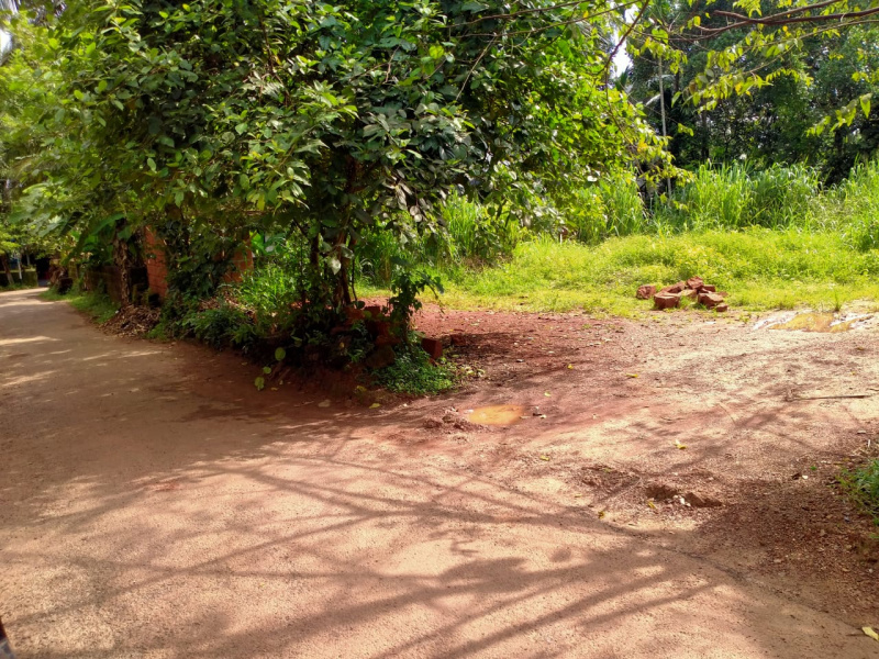Residential Plot 42 Cent for Sale in Perinthalmanna, Malappuram