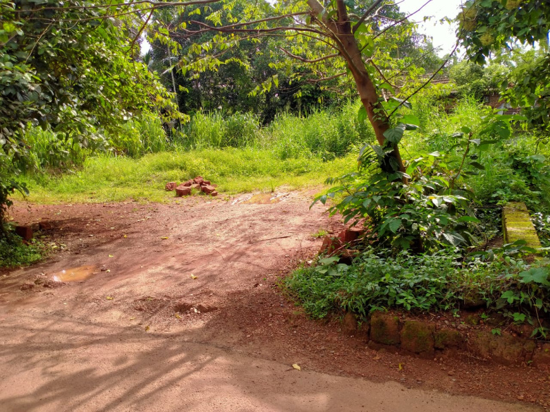 Residential Plot 13 Cent for Sale in Perinthalmanna, Malappuram