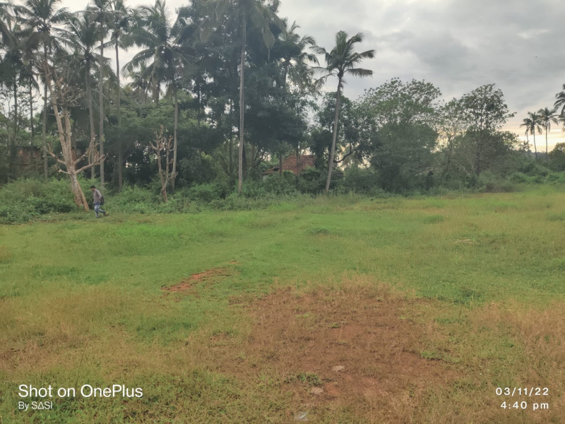 Residential Plot 18 Cent for Sale in Kuriachira, Thrissur