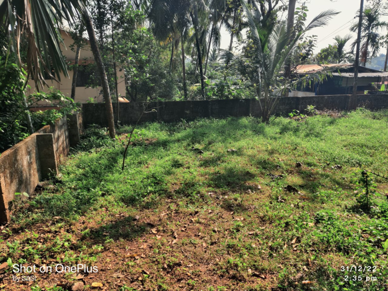 Residential Plot 50 Cent for Sale in Mavilayi, Kannur
