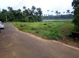 Commercial Land 19 Cent for Sale in Palayam, Kozhikode