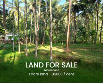  Residential Plot for Sale in Koombara, Kozhikode