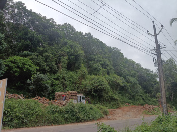  Industrial Land for Sale in Thamarassery, Kozhikode