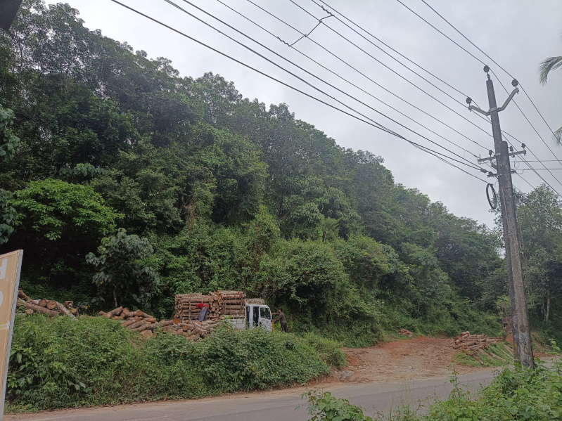  Industrial Land 1 Acre for Sale in Thamarassery, Kozhikode