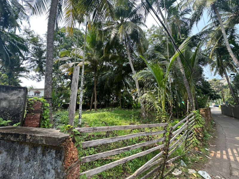  Residential Plot 11 Cent for Sale in Eranhipalam, Kozhikode