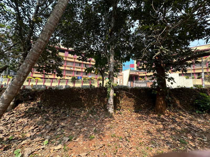  Residential Plot 50 Cent for Sale in Mukkam, Kozhikode