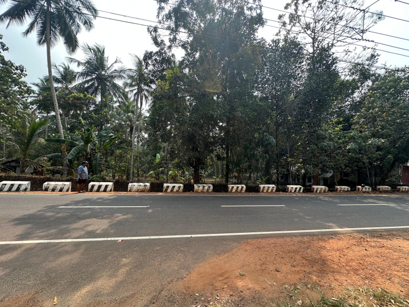  Residential Plot 50 Cent for Sale in Mukkam, Kozhikode