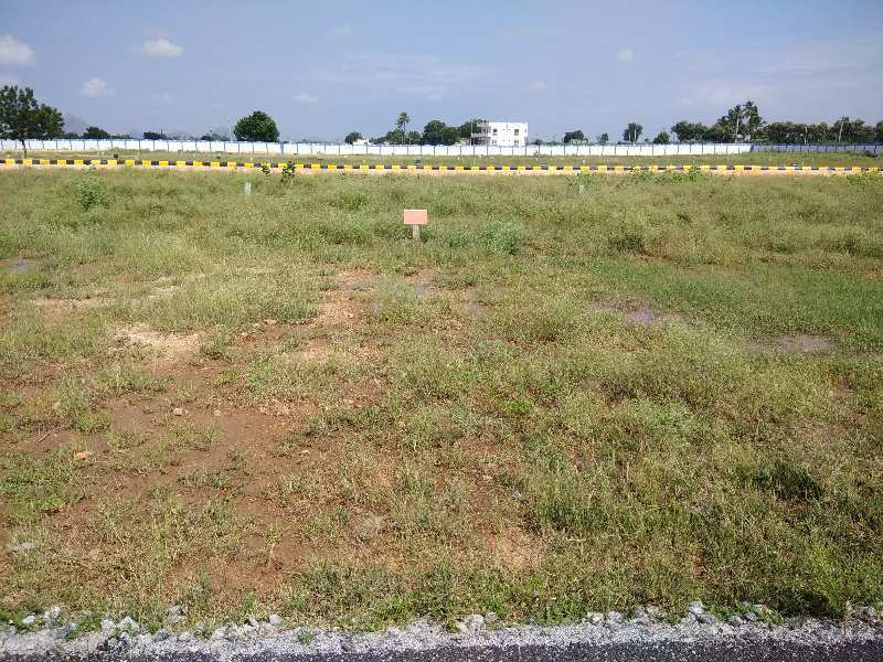  Residential Plot 1680 Sq.ft. for Sale in Loluru, Anantapur