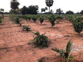  Agricultural Land for Sale in Yacharam Mandal, Hyderabad