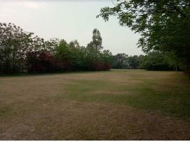  Agricultural Land for Rent in Mullanpur, Mohali