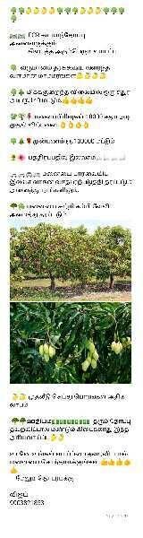  Agricultural Land for Sale in Ecr To Marakanam Road, Chennai