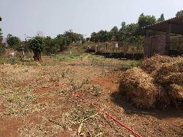  Agricultural Land for Rent in Bhor, Pune