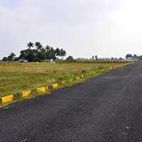  Residential Plot for Sale in Sontyam, Visakhapatnam