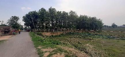  Agricultural Land for Sale in Dudhi, Sonebhadra