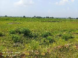  Industrial Land for Sale in Belan baraundha, Mirzapur-cum-Vindhyachal, Mirzapur-cum-Vindhyachal