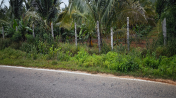  Agricultural Land for Sale in Kanakapura Road, Bangalore