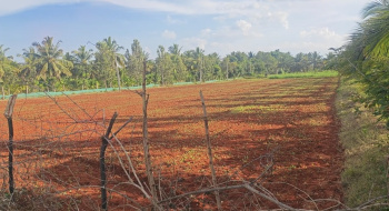 Agricultural Land for Sale in Maddur, Bangalore