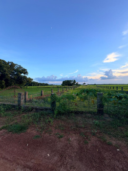  Residential Plot for Sale in Nalanga, Bhadrak