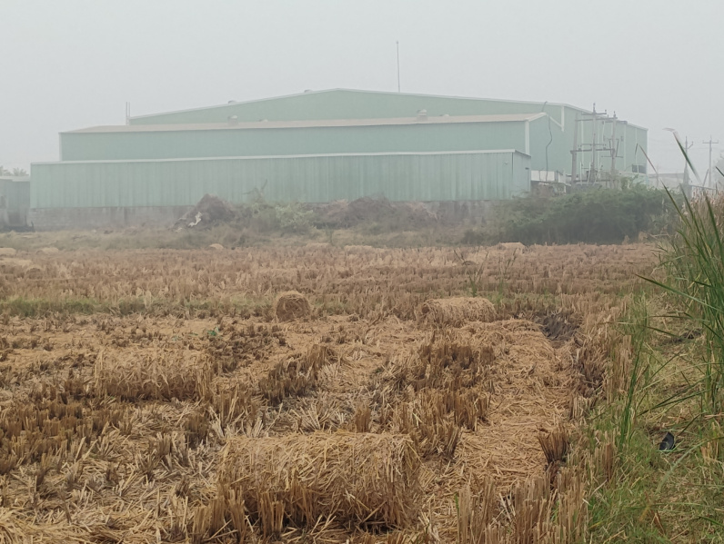  10 Cent Industrial Land for Sale in Gannavaram, Krishna