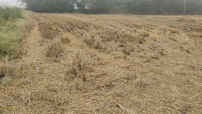  10 Cent Industrial Land for Sale in Gannavaram, Krishna