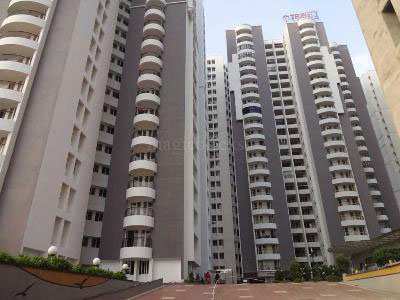 3 BHK Apartment 1753 Sq.ft. for Rent in