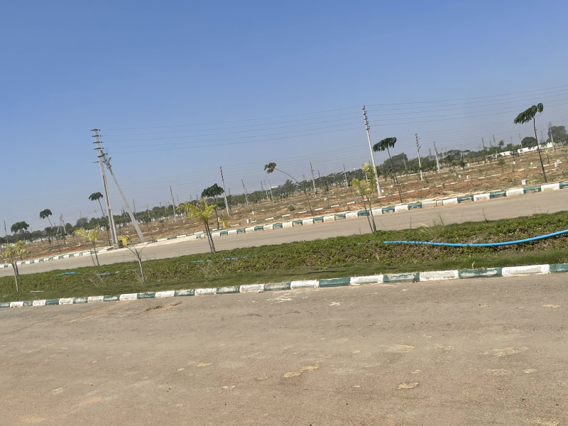  Residential Plot 150 Sq. Yards for Sale in Shadnagar, Hyderabad