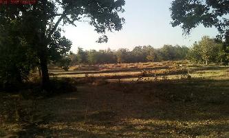  Agricultural Land for Sale in Salempur, Deoria