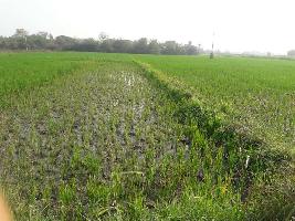  Agricultural Land for Sale in Namdevwada, Nizamabad
