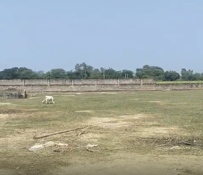  1620 Sq.ft. Residential Plot for Sale in New Jail Road, Lucknow