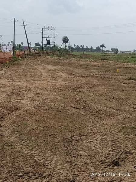 Residential Plot 2376 Sq.ft. for Sale in Buchireddypalem, Nellore