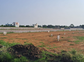  Residential Plot for Sale in Gannavaram, Vijayawada