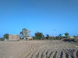  Agricultural Land for Rent in Viramgam, Ahmedabad